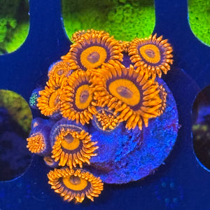 Orange acid